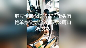 麻豆传媒 MD-0277 街头猎艳单身欲女 金钱利诱公厕口爆 艾熙