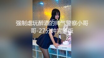 强制虐玩醉酒的帅气警察小哥哥-27分钟完整版