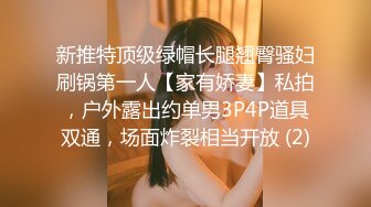 新推特顶级绿帽长腿翘臀骚妇刷锅第一人【家有娇妻】私拍，户外露出约单男3P4P道具双通，场面炸裂相当开放 (2)