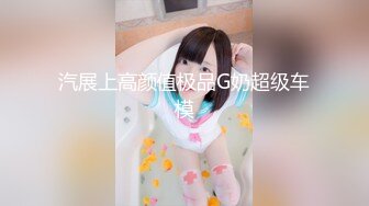 汽展上高颜值极品G奶超级车模