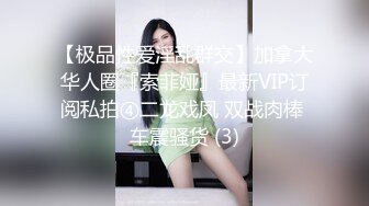 【极品性爱淫乱群交】加拿大华人圈『索菲娅』最新VIP订阅私拍④二龙戏凤 双战肉棒 车震骚货 (3)