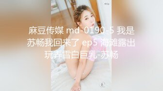 麻豆传媒 md-0190-5 我是苏畅我回来了 ep5 海滩露出玩弄雪白巨乳-苏畅